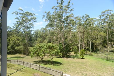 DSC_3165.JPG