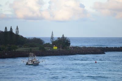 DSC_3175.JPG