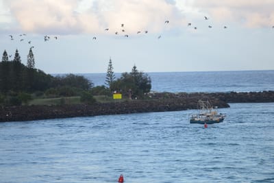 DSC_3176.JPG