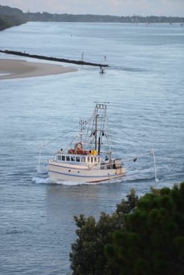 DSC_3177.JPG