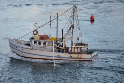 DSC_3178.JPG