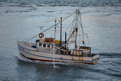 DSC_3179.JPG