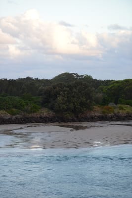 DSC_3180.JPG