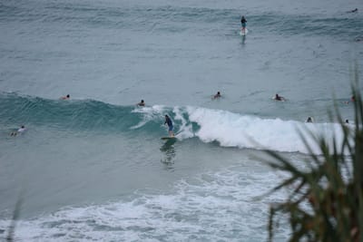 DSC_3217.JPG