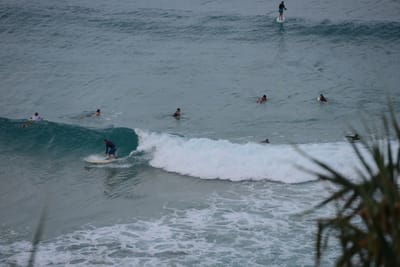 DSC_3218.JPG