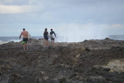DSC_3224.JPG