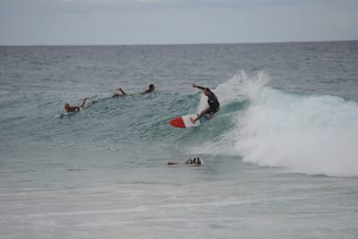 DSC_3235.JPG
