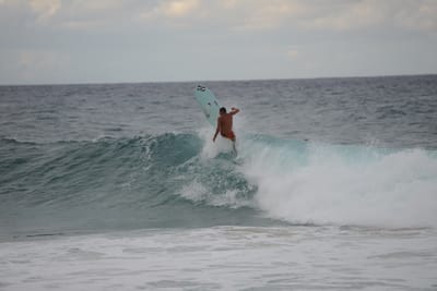 DSC_3267.JPG