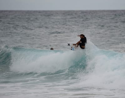 DSC_3278.JPG