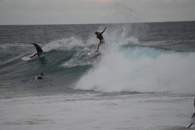 DSC_3323.JPG