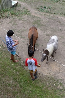 DSC_3589.JPG