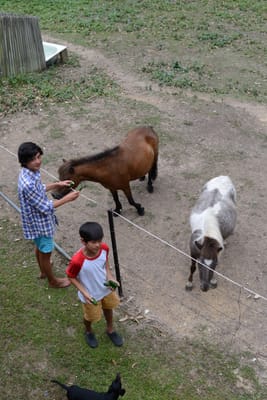 DSC_3591.JPG