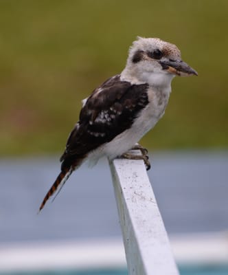 DSC_3644.JPG