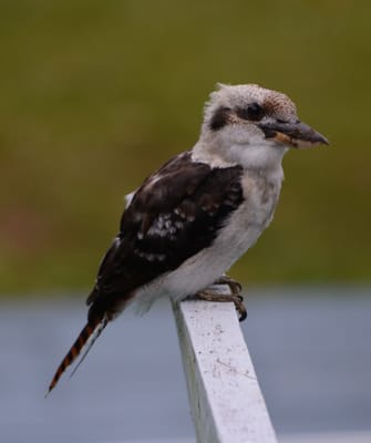 DSC_3645.JPG