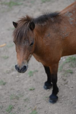 DSC_3649.JPG