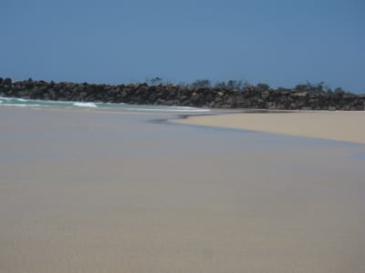IMG_0147.JPG