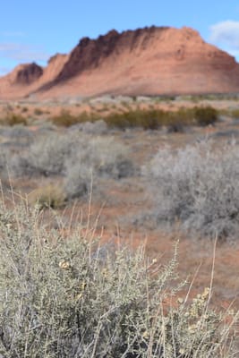 DSC_4400.JPG