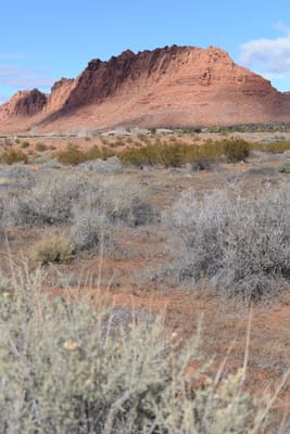 DSC_4401.JPG