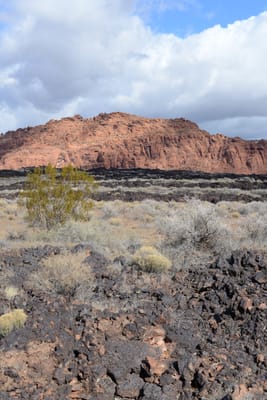 DSC_4403.JPG