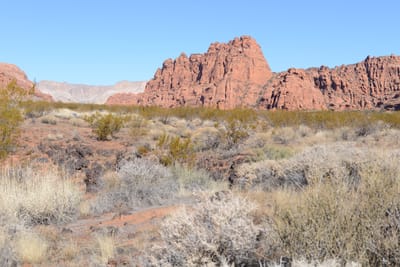 DSC_4755.JPG