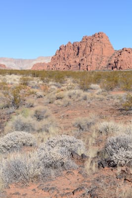 DSC_4756.JPG