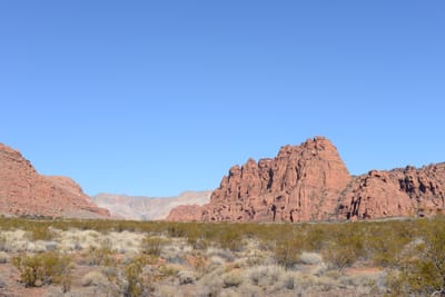 DSC_4757.JPG