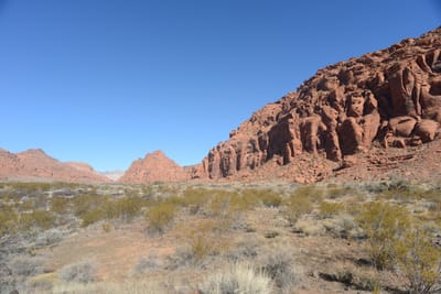 DSC_4770.JPG