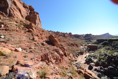 DSC_4774.JPG