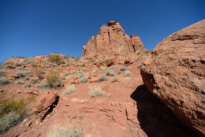 DSC_4777.JPG