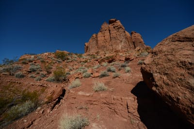 DSC_4778.JPG