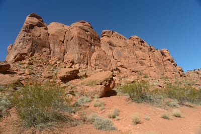 DSC_4780.JPG