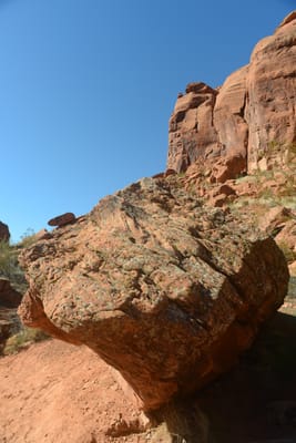 DSC_4781.JPG