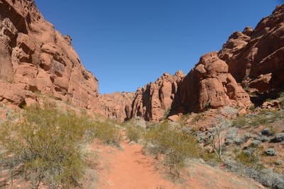 DSC_4795.JPG