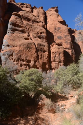 DSC_4799.JPG