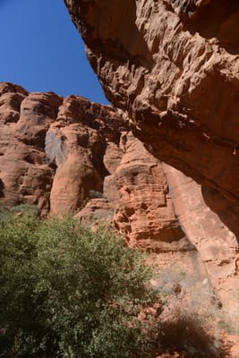 DSC_4800.JPG
