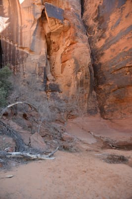 DSC_4808.JPG