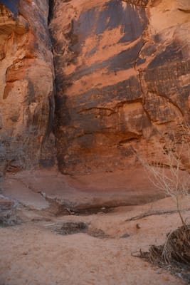 DSC_4809.JPG