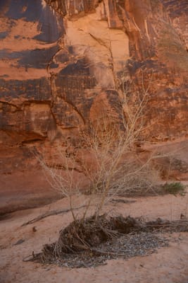 DSC_4810.JPG