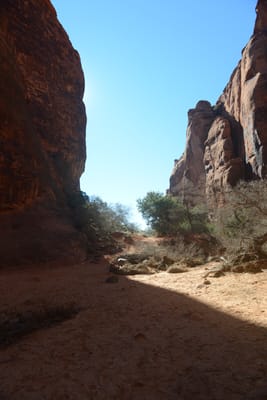 DSC_4812.JPG