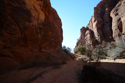 DSC_4815.JPG