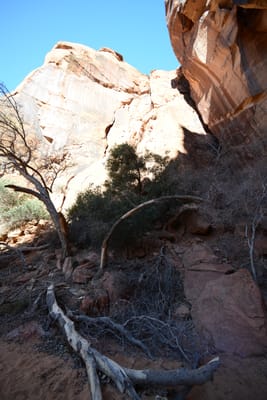 DSC_4816.JPG