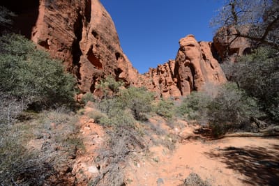 DSC_4817.JPG