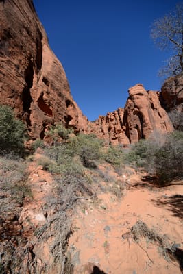 DSC_4818.JPG