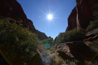 DSC_4819.JPG