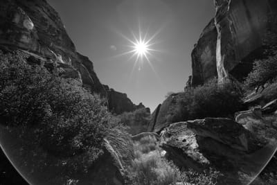 DSC_4819 BW.jpg