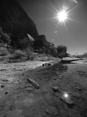 DSC_4821 BW.jpg