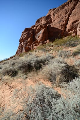 DSC_4822.JPG