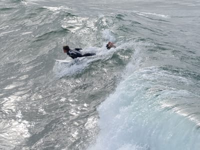 DSC_4325.JPG