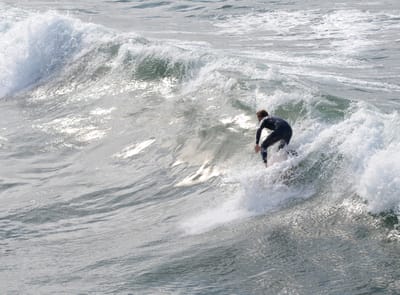 DSC_4330.JPG