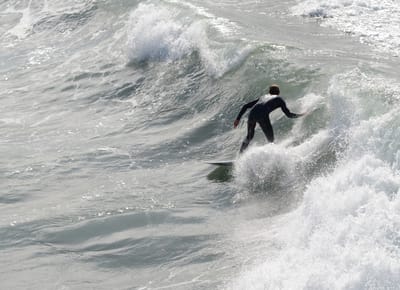 DSC_4342.JPG